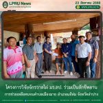 โครงการวิจัยจักรวาลไผ่ มร.ลป. ร่วมเป็นสักขีพยานการช่วยเหลือคนจนตำบลเมืองมาย อำเภอแจ้ห่ม จังหวัดลำปาง